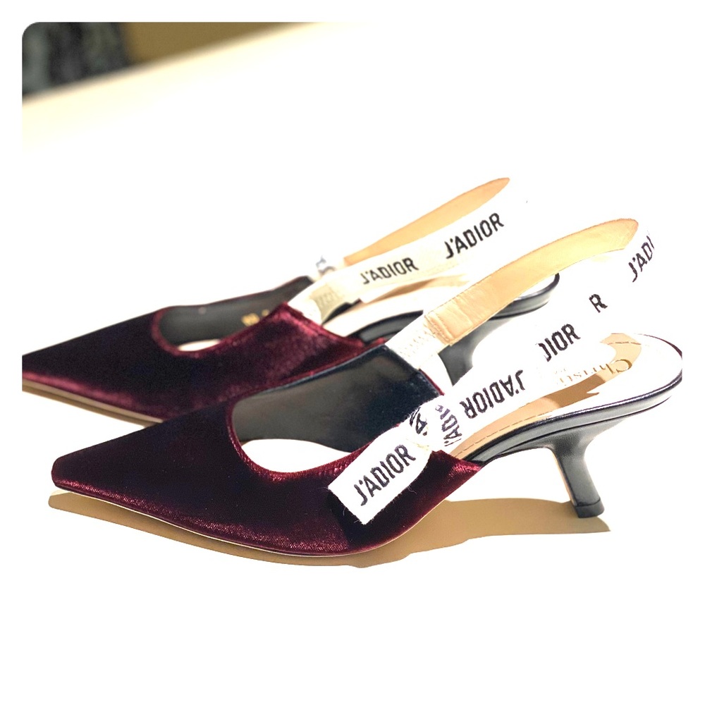 Dior J’ADIOR velvet and ribbon shoe